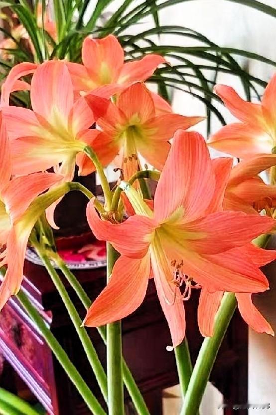 友们又是美好的一天！
悄悄送到的、是平安，
静静传递的、是吉祥。

黙黙送出的、