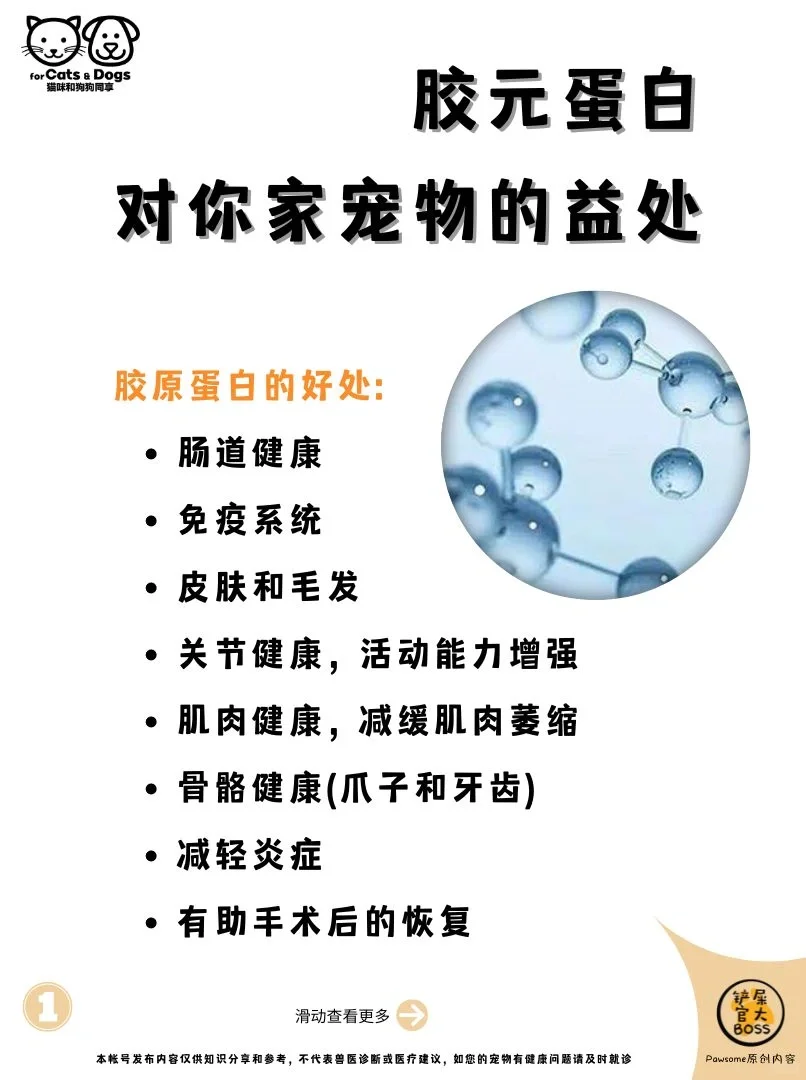 胶元蛋白对你家宠物的益处