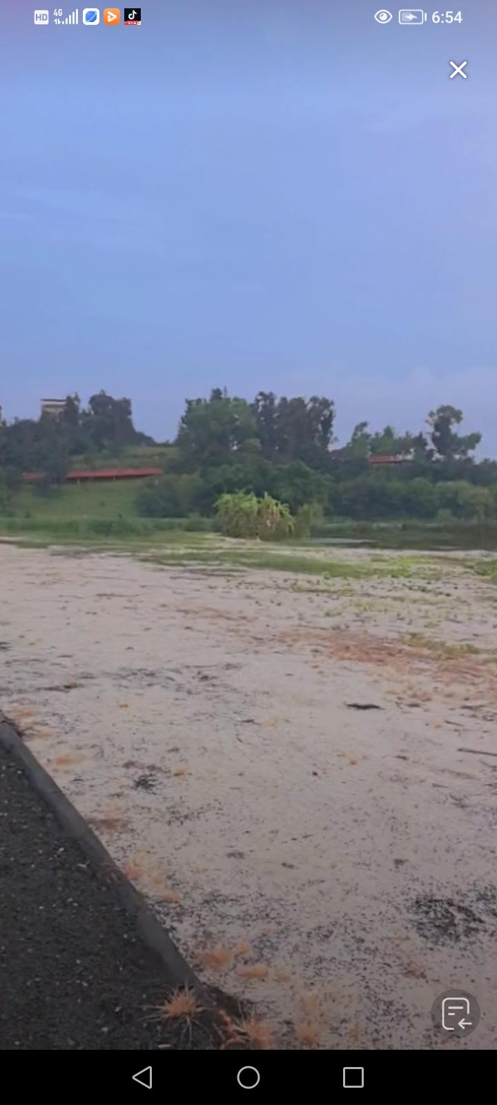 肯定得去啊。表妹，那可是血缘很近的亲人呢。不过我跟我姑姑家的女儿，都没什么联系了