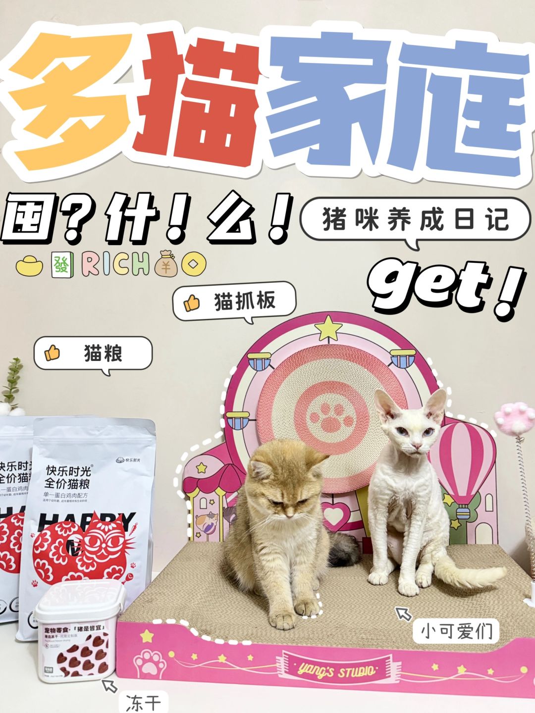 淘到的养猫好物分享✨～猫主子说满意
