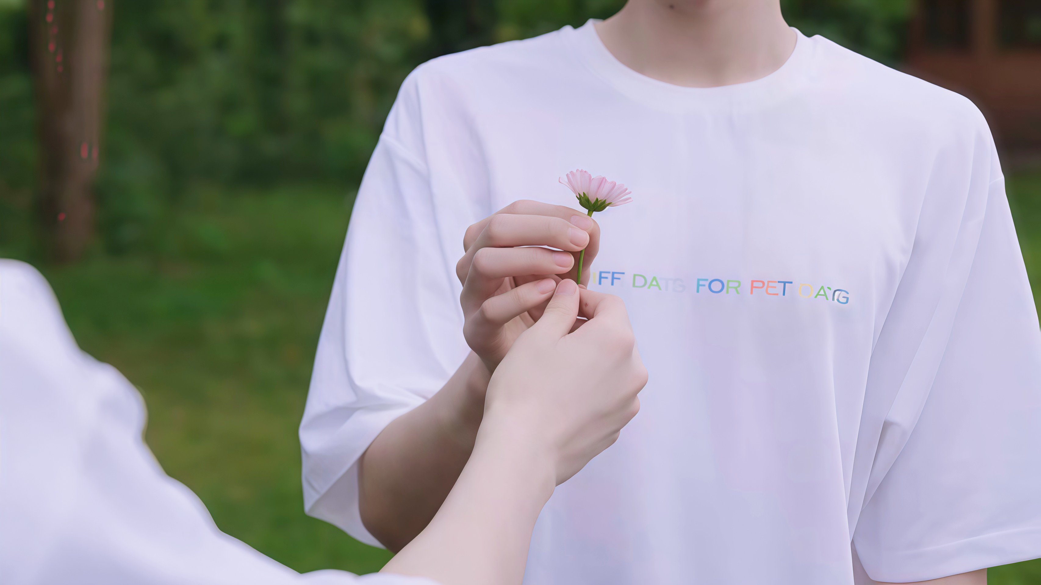 关于一朵花的故事🌸 