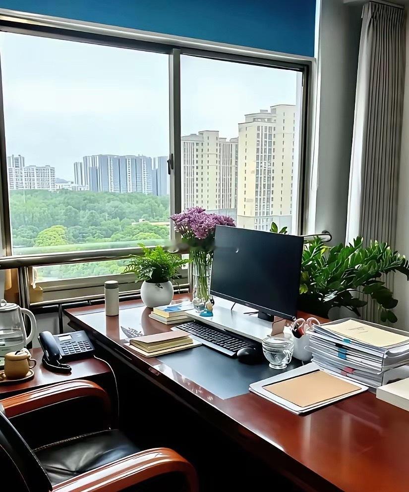 在体制内，什么级别的领导会拥有这样的办公室 