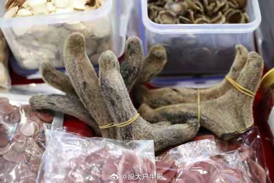 老人不买天价鹿茸被一脚踹翻“50一棵”转眼变“50一克”，七旬老爷子拒买，当街被
