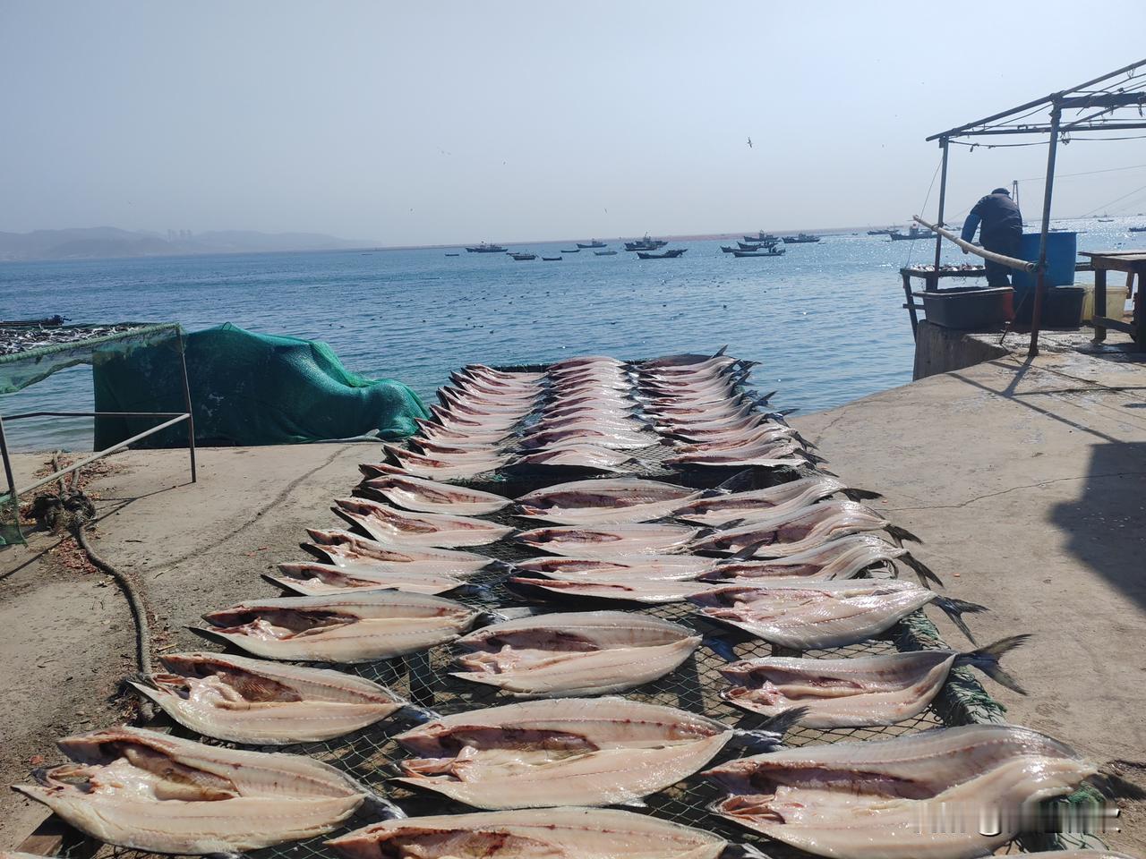 昨天上午，我开车去了离家不远的塔河湾。几年前，我偶然逛到塔河湾的海鲜市场，没有买