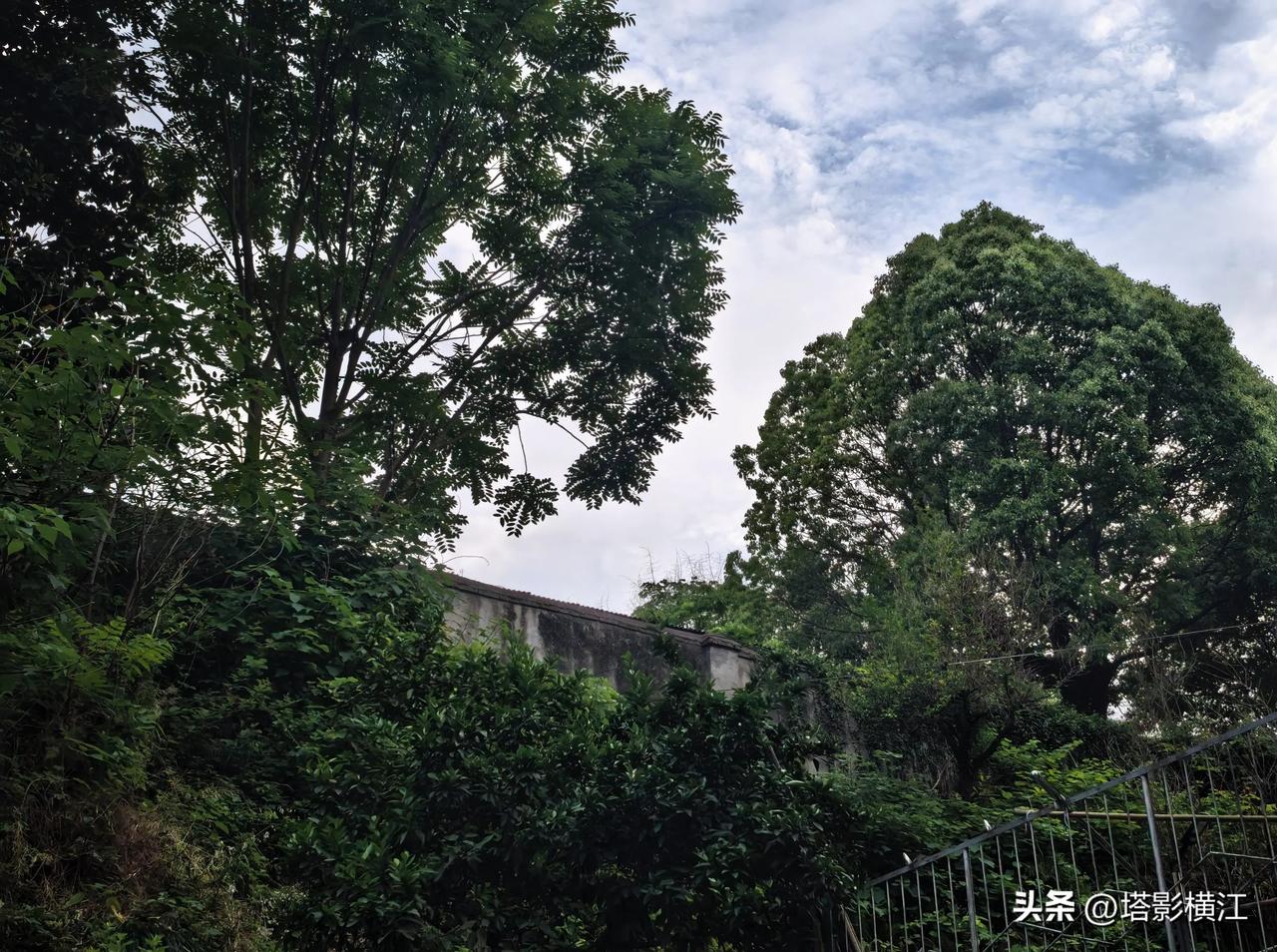 从菱湖皖钟茶戏园出发，从百花亭到西丁家巷，沿北门城墙根的寻访
