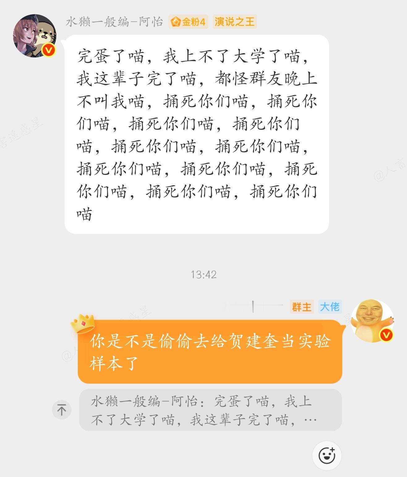 王世怡变猫娘 