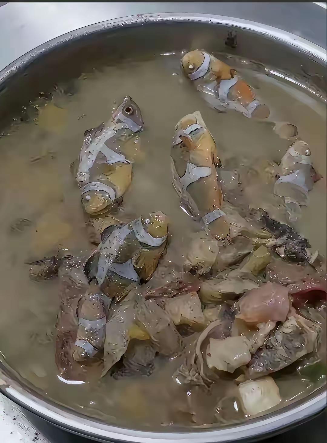 老婆辛苦一下午熬的鲫鱼汤，友友们觉得厨艺水平咋样？
