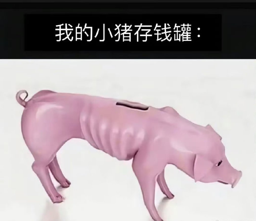 当我开始理财belike： 