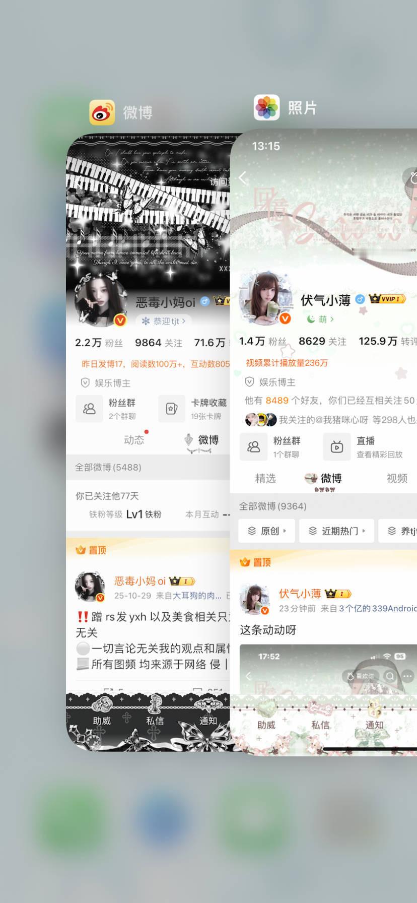 宝宝们这条动动 