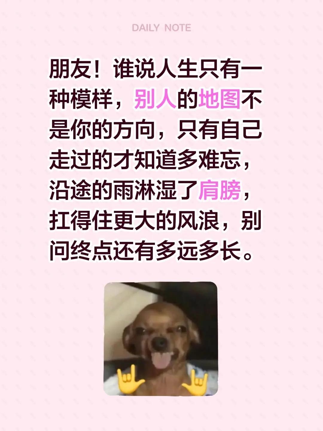 蓝光心里话。我评论了@情有独钟丶 的作品：朋友！谁说人生只有一种模样，别人的地图