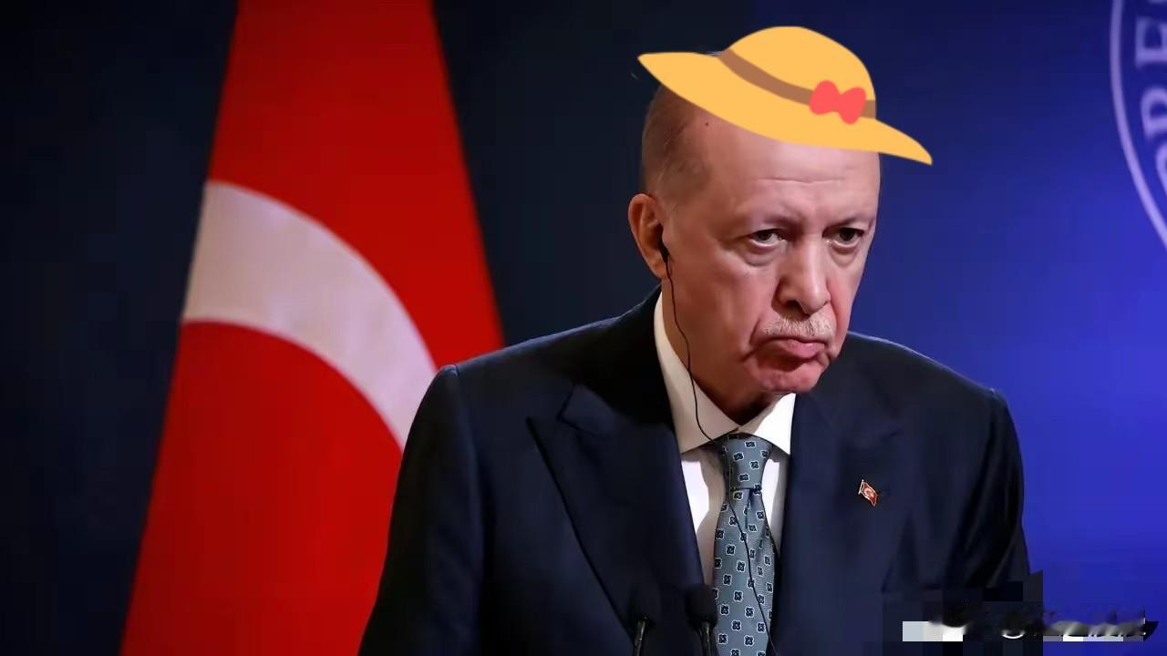 2025年最后一天晚上的深夜，土耳其可谓是突然对中国发大招，埃尔多安正式签署总统