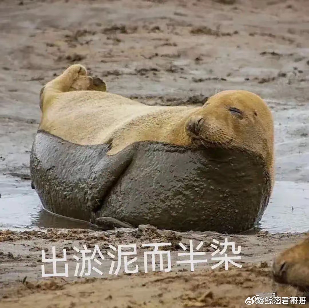 我不知道您是怎么了“我并不知道你到底是怎么了”这句话真的很实用，比任何一句阴阳怪