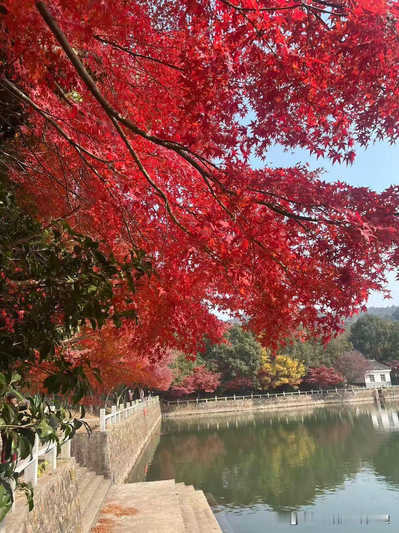 欢迎大伙儿来俺家乡河南玩！
 
咱这儿没有啥花哨的，但每一样都实打实。想吃面，有