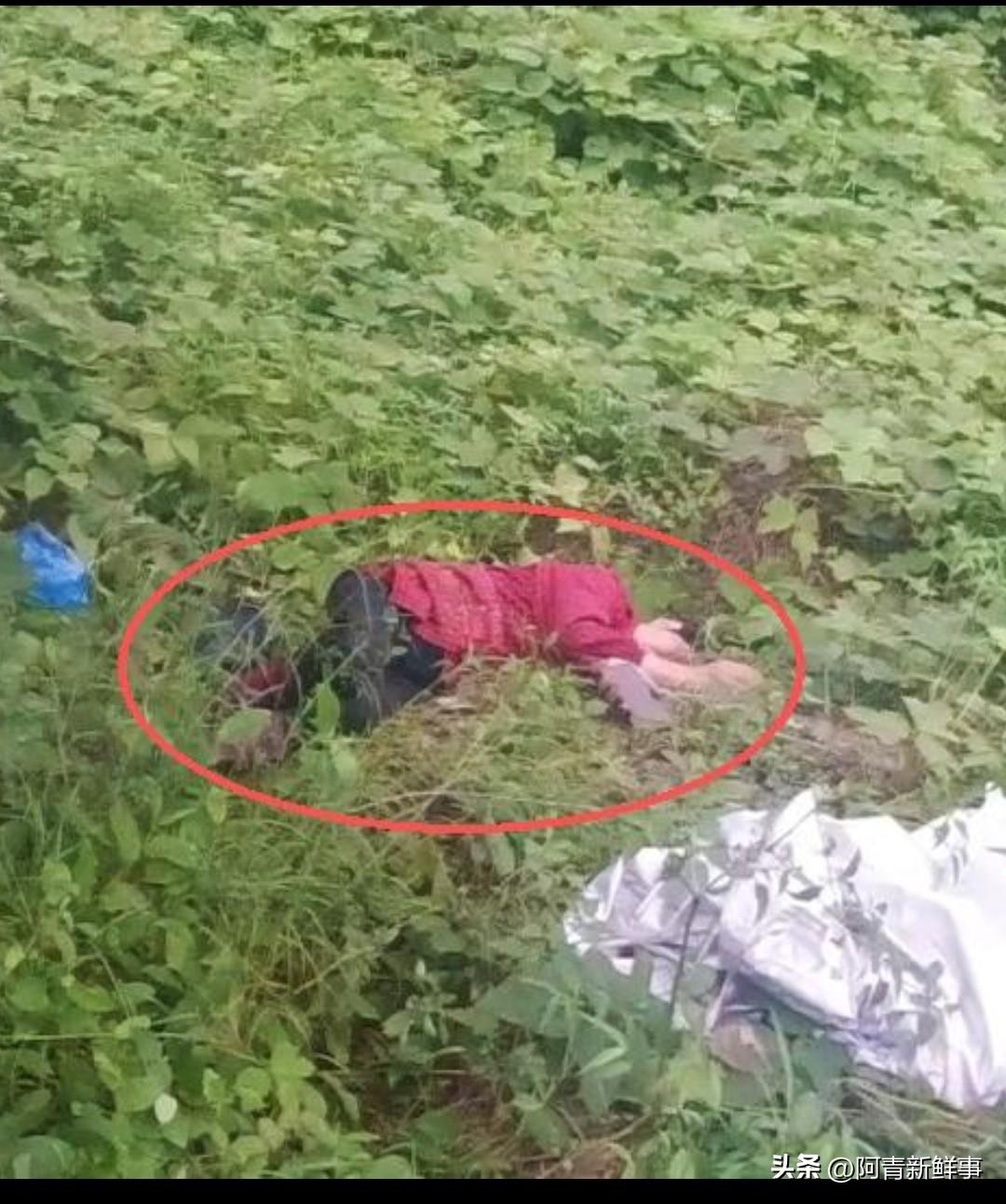 太不值当了！！！浙江温州永嘉，一名女子进山摘杨梅，从树上摔下导致肋骨骨折被困，最