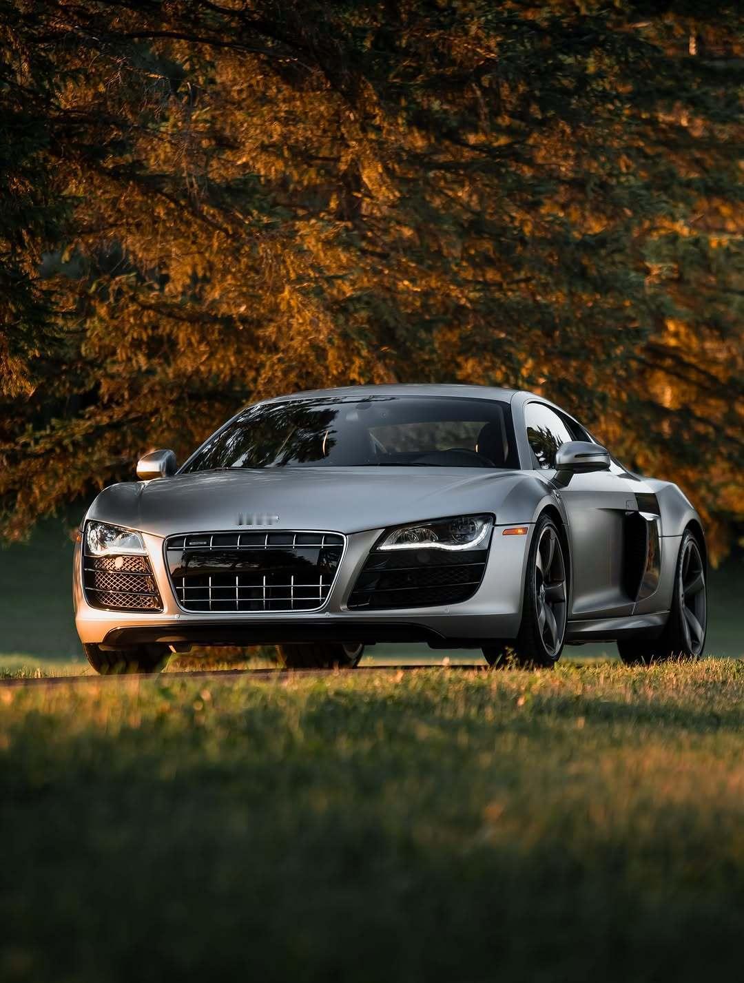 奥迪 R8 V10 [色][色] ​​​