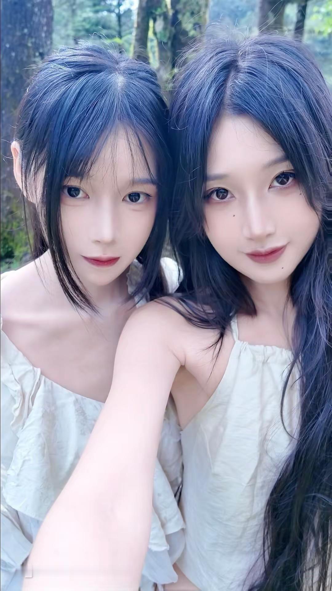 恋人怀中樱花草。