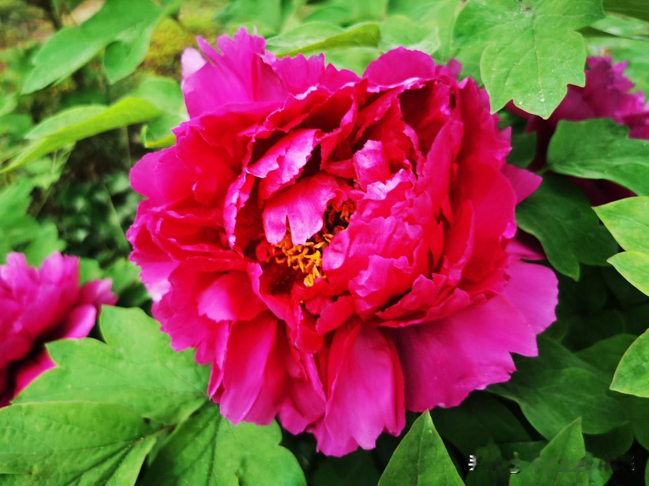 人这一生，
神采飞扬奋进不停，是什么能让你停下来？
面对未知与模糊，害怕与迟疑。