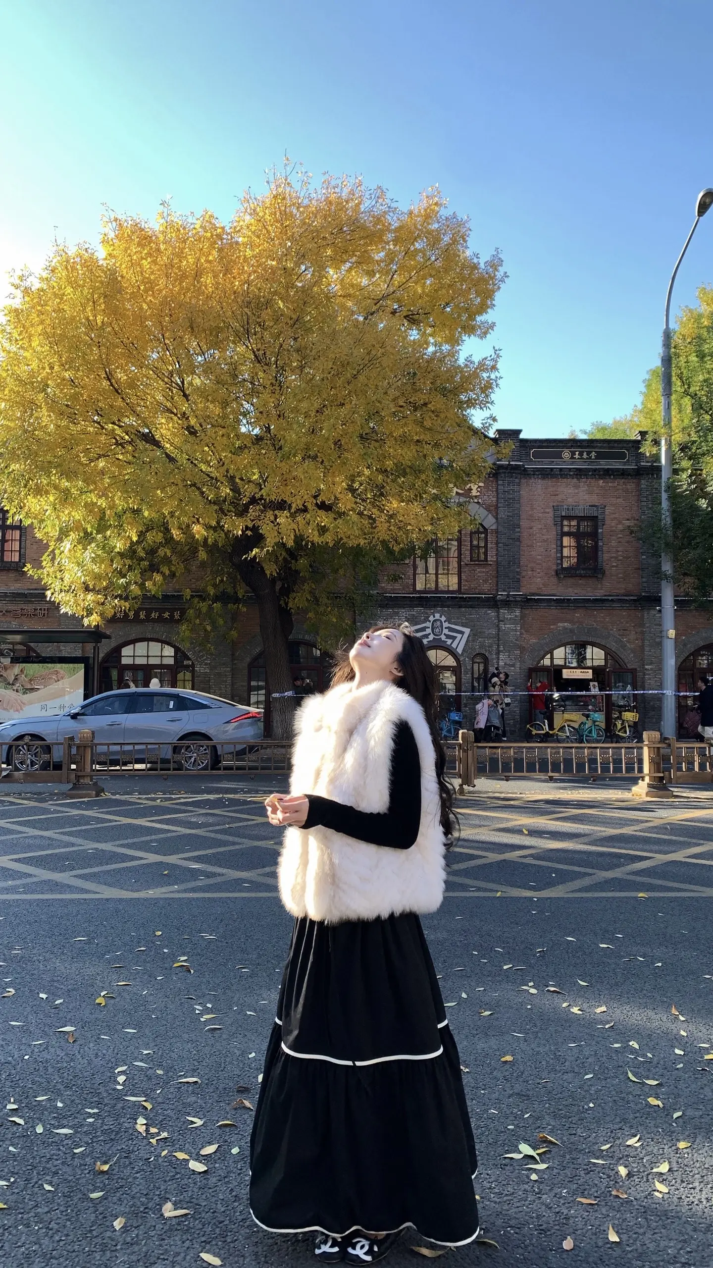 万物各有令时 爱也走到秋天。