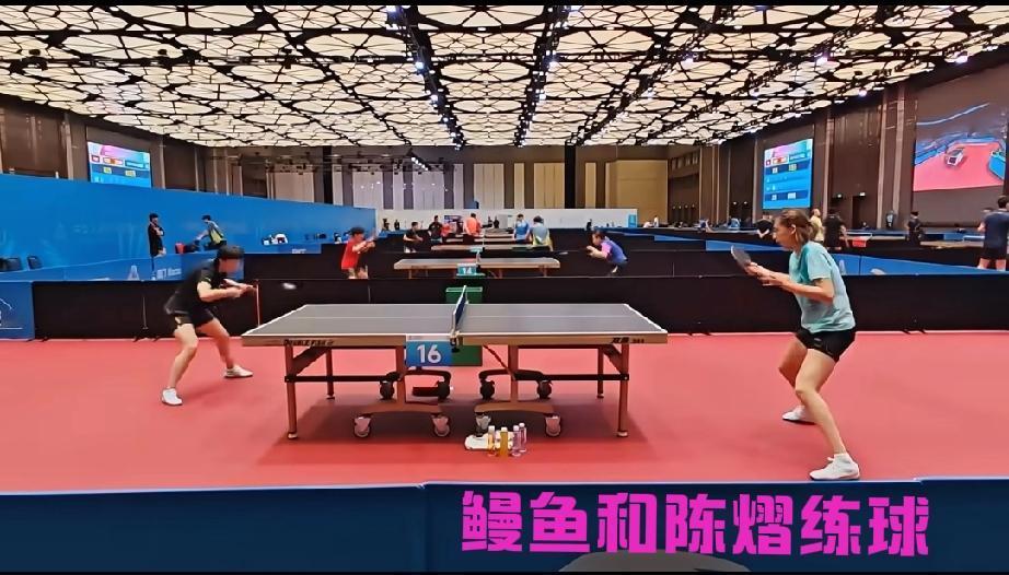 最新鲜的王曼昱来了，这几天在训练场都没有看到鳗鱼练球，让球迷朋友很是想念这个龙江