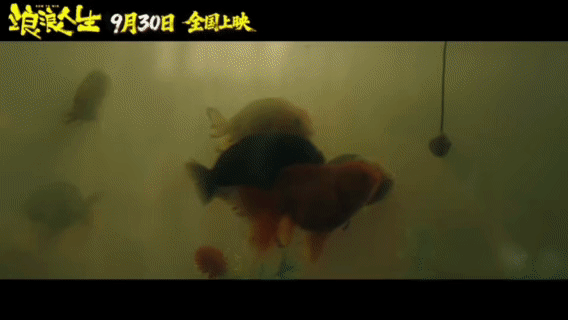电影浪浪人生9月30日上映浪浪人生当大哥的四要素 黄渤在生活里摸爬滚打，靠四要素