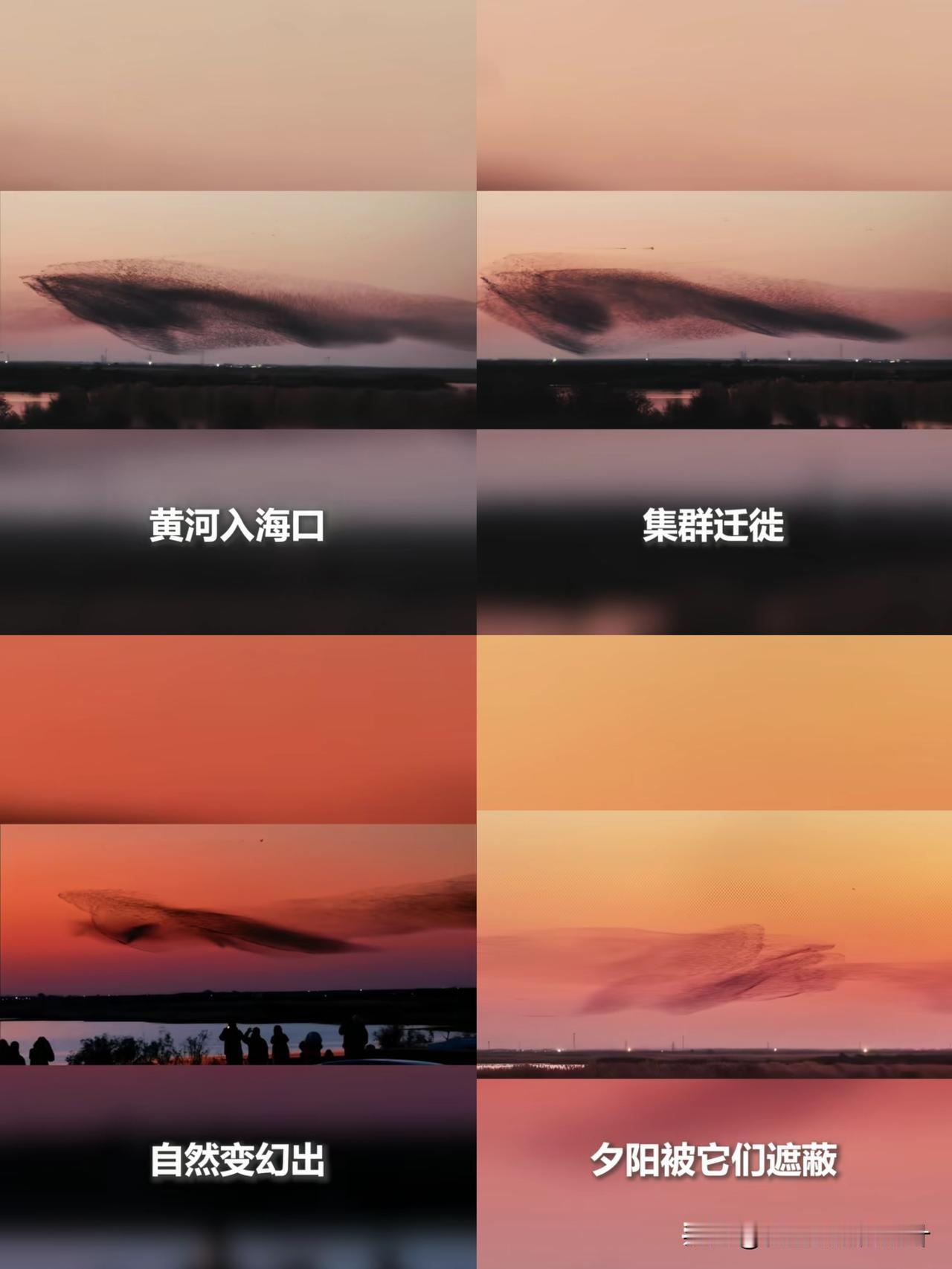 人民日报还是太权威了

这般优美的意向还能被报道

“北冥有鱼，其名为鲲”，原来