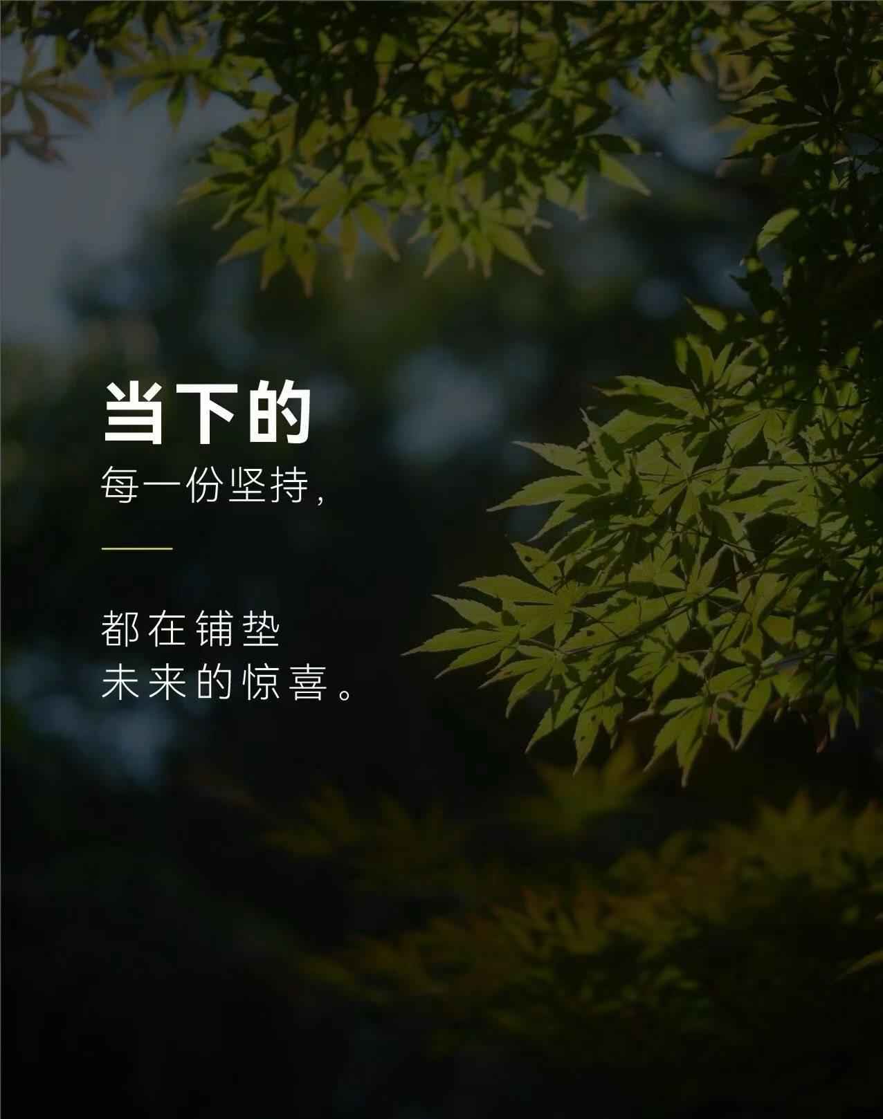 当下的每一份坚持-都在铺垫，未来的惊喜。
