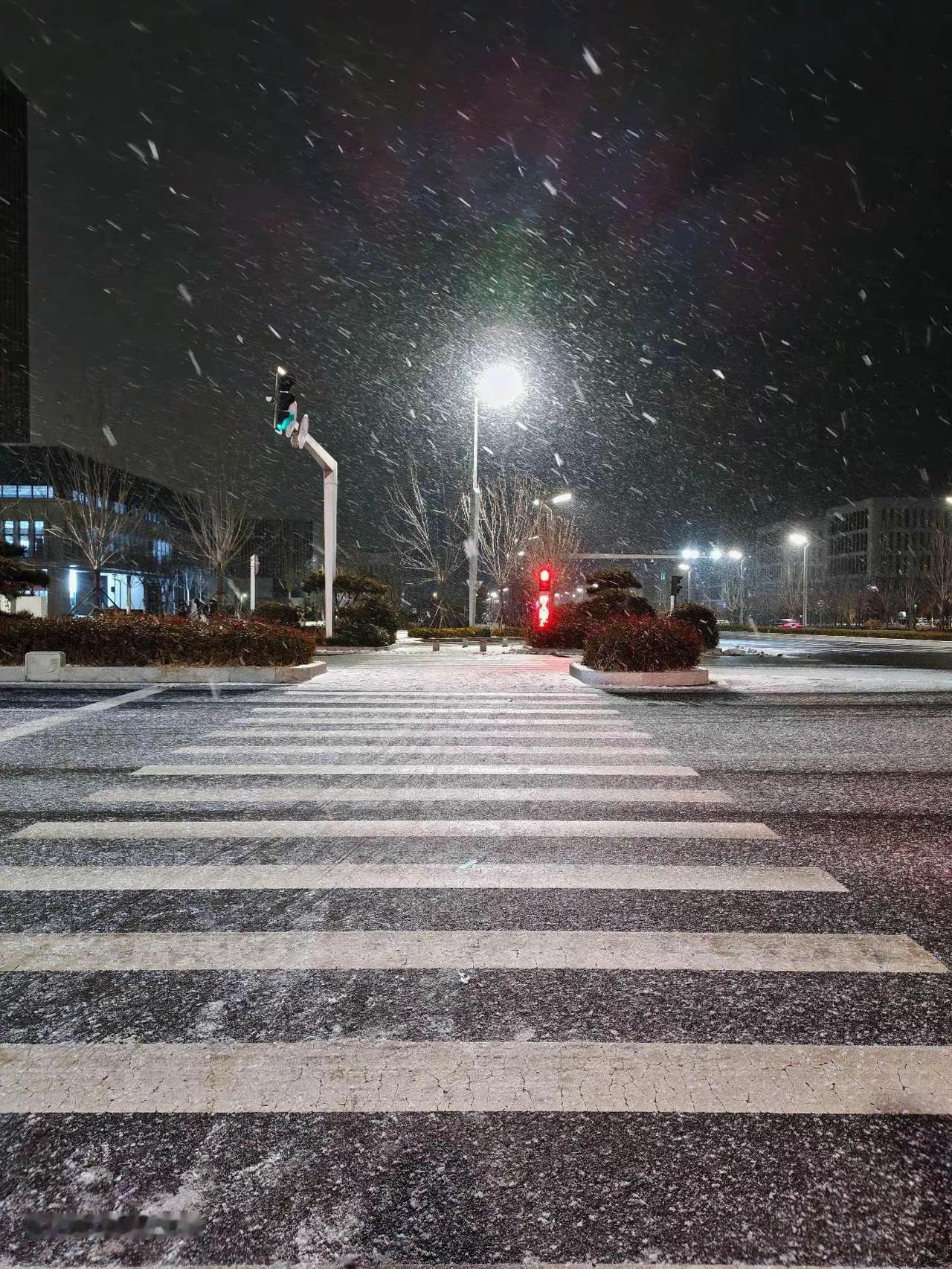雪花多舍不得冬天~ 冬天 烟台