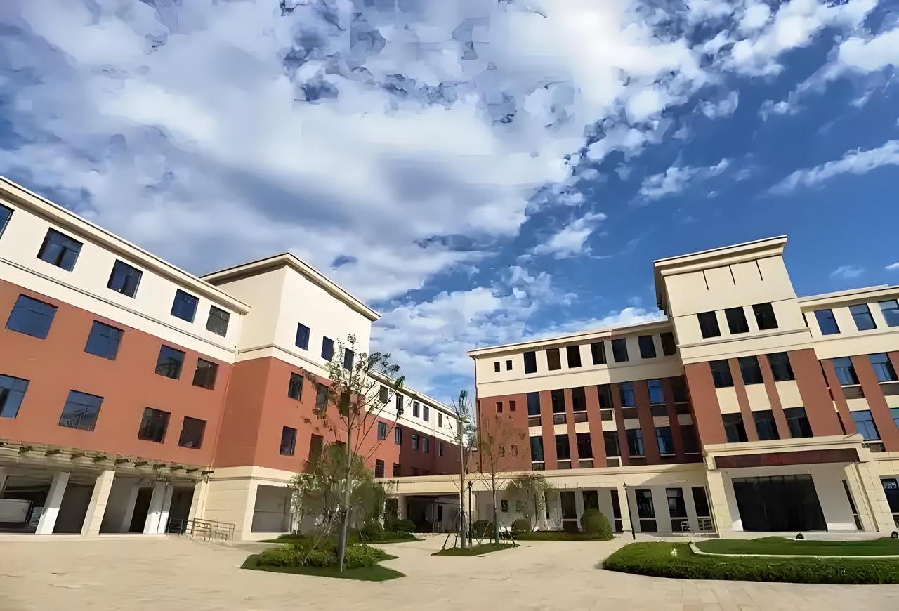 同样是在合肥三县上学，肥西和肥东的义务教育差距，从孩子上小学一年级就拉开了！很多