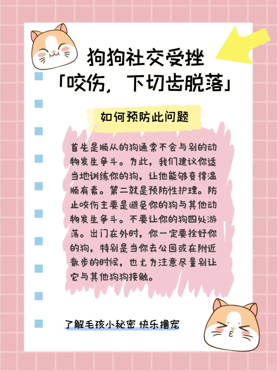 如果狗狗不慎被咬伤，作为家长该怎么办？