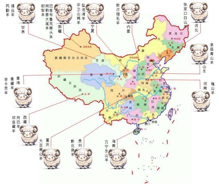 立冬了，全国吃羊进补地图，已经给你画好...

内蒙古：敖汉细毛羊；
宁夏：盐池