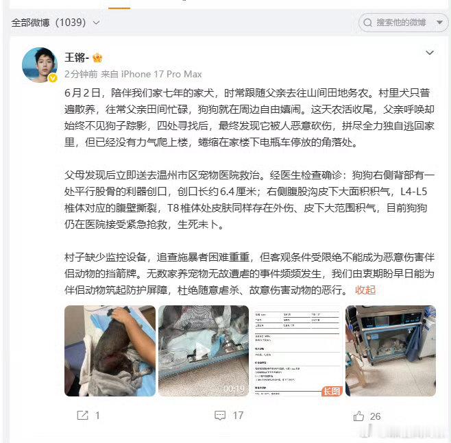王锵发文七年爱犬被恶意砍伤自家老犬跟着家人下地务农，却惨遭恶意砍伤，多处伤口危重
