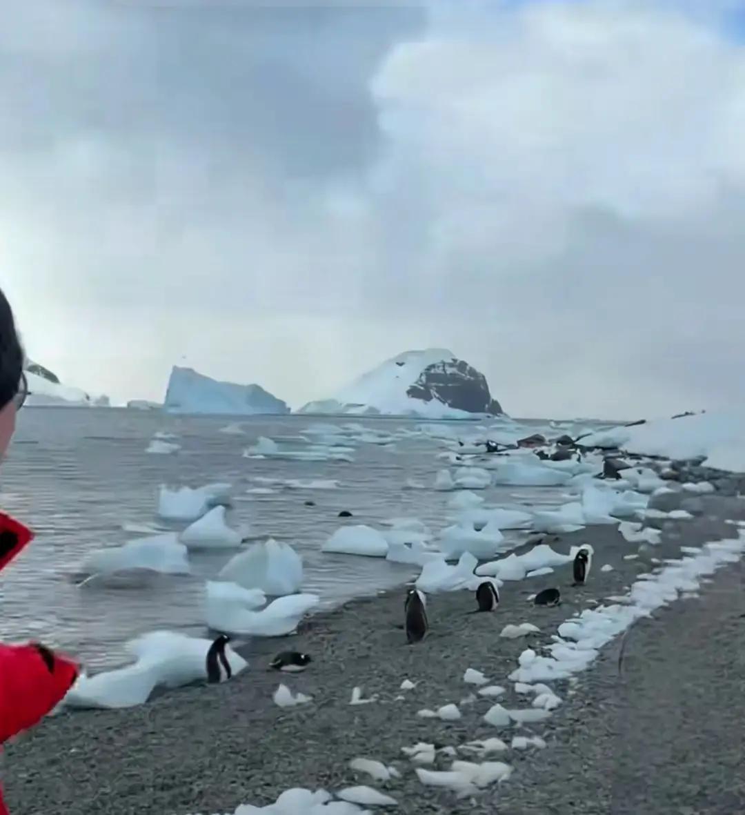 李诞把南极拍成灰白屏。
船晃了四天，他裹着羽绒服在甲板说“冷到哭不出来”登陆后没