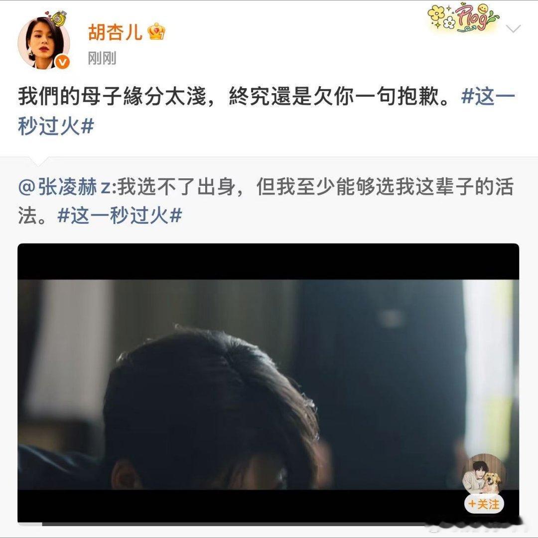 胡杏儿说欠张凌赫一句抱歉胡杏儿说终究还是欠张凌赫一句道歉对手戏情绪张力满满，一句