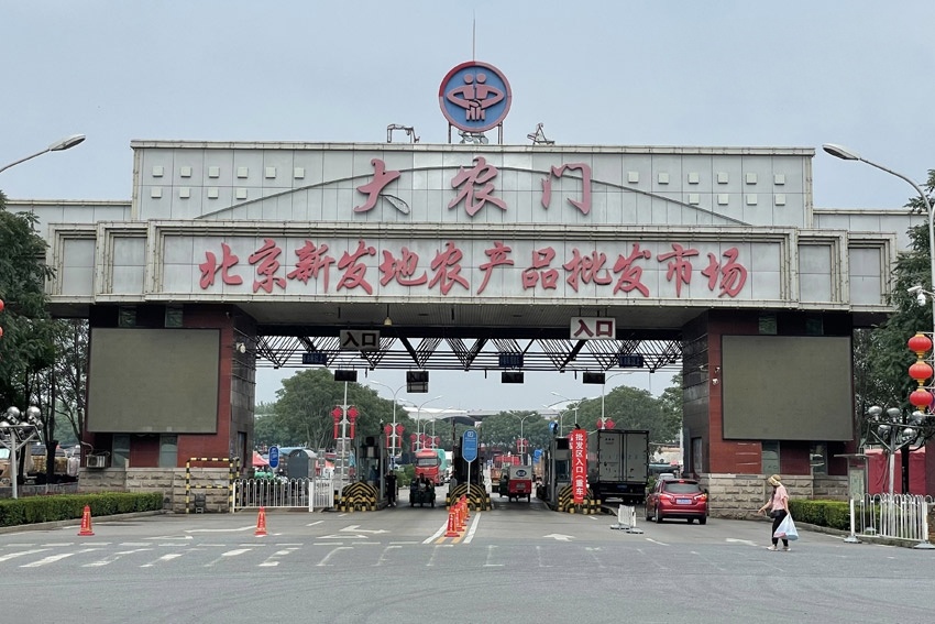 #北京新发地紧急排查甲醛白菜是否流入#【北京新发地启动紧急排查：涉事“甲醛白菜”