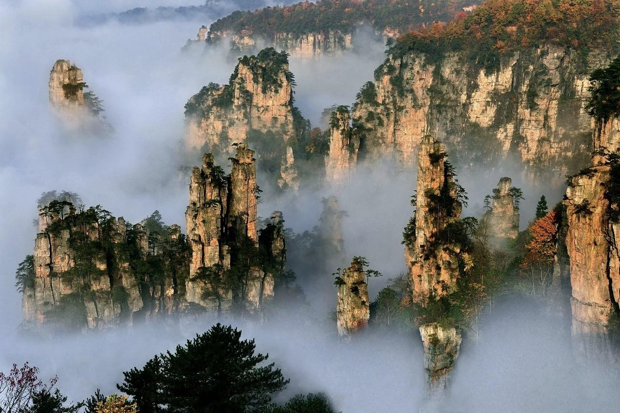 【很多人陷入焦虑，是因为凡事都迫切地想要一个结果，在脑海中反复推演，一旦看不到确