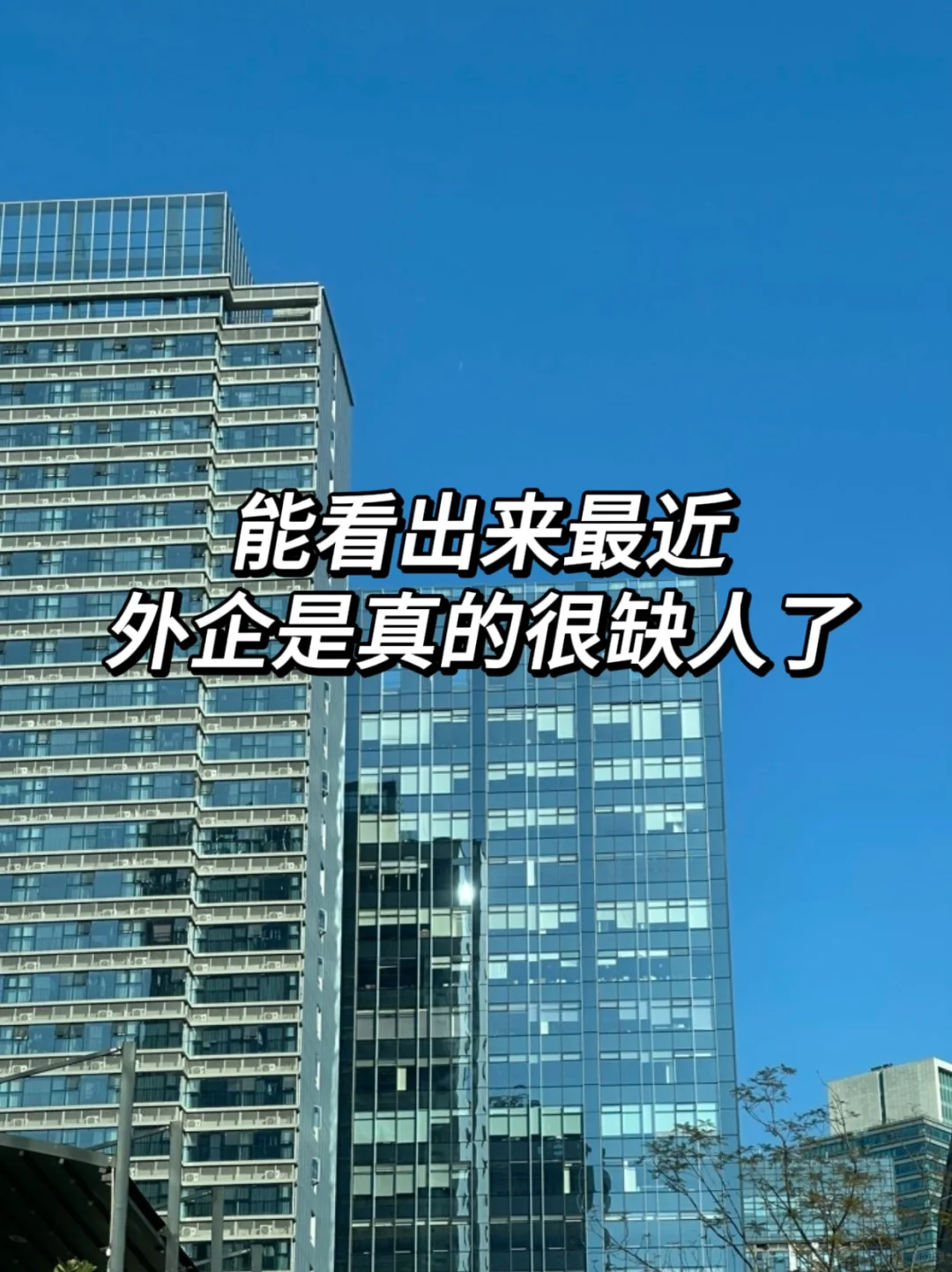 能看出来最近外企是真的很缺人了
