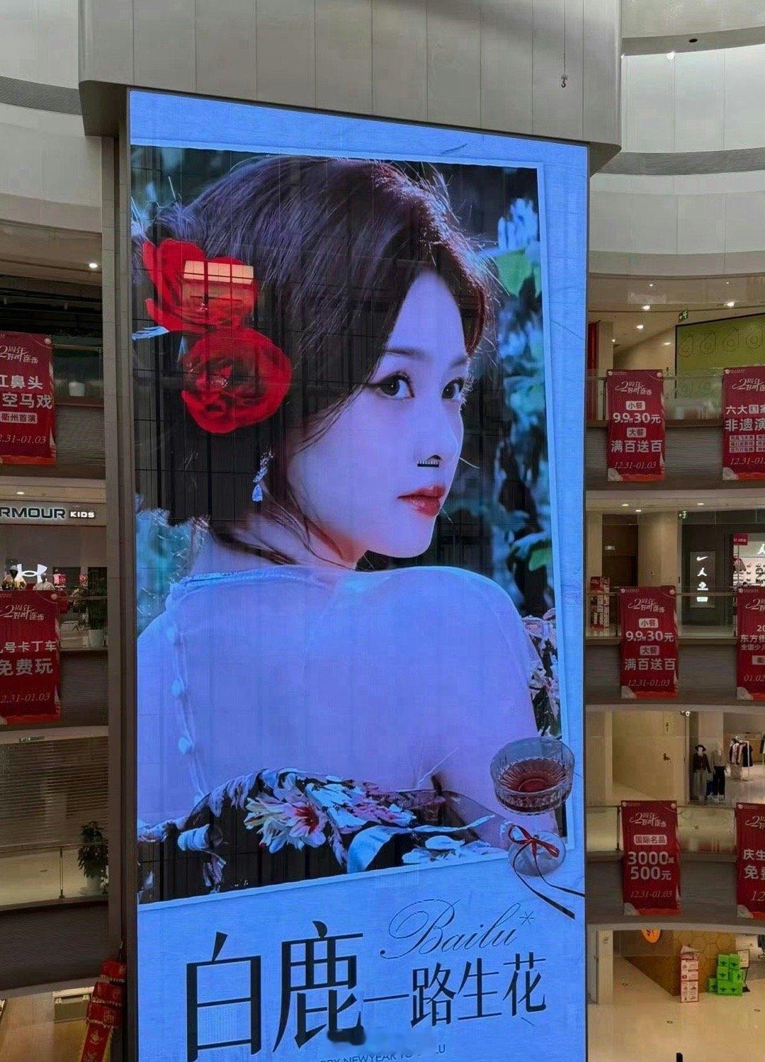 白鹿浙江跨年应援排面哇哇哇哇就是说白鹿粉丝这是把最好的都给了白鹿吧，白鹿浙江跨年