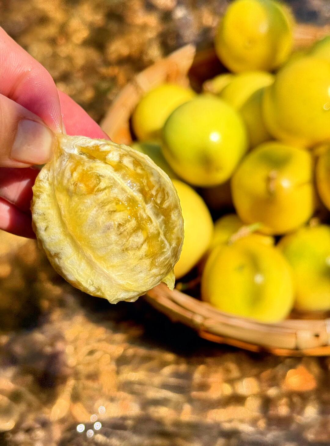 夏天必不可少的甜美水果！