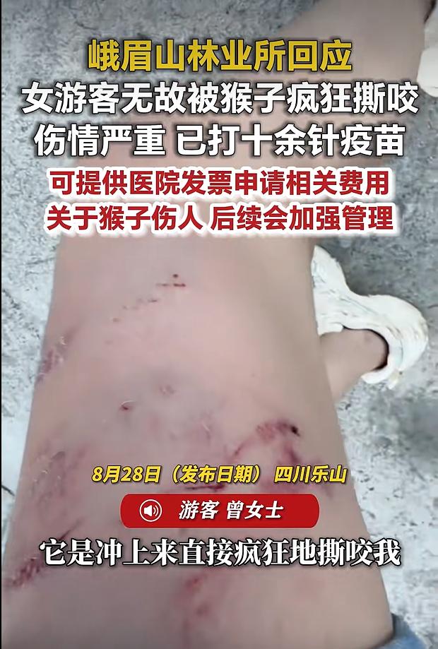 8 月 28 日，据潇湘晨报报道，四川乐山峨眉山景区发生一起野生猕猴伤人事件。一