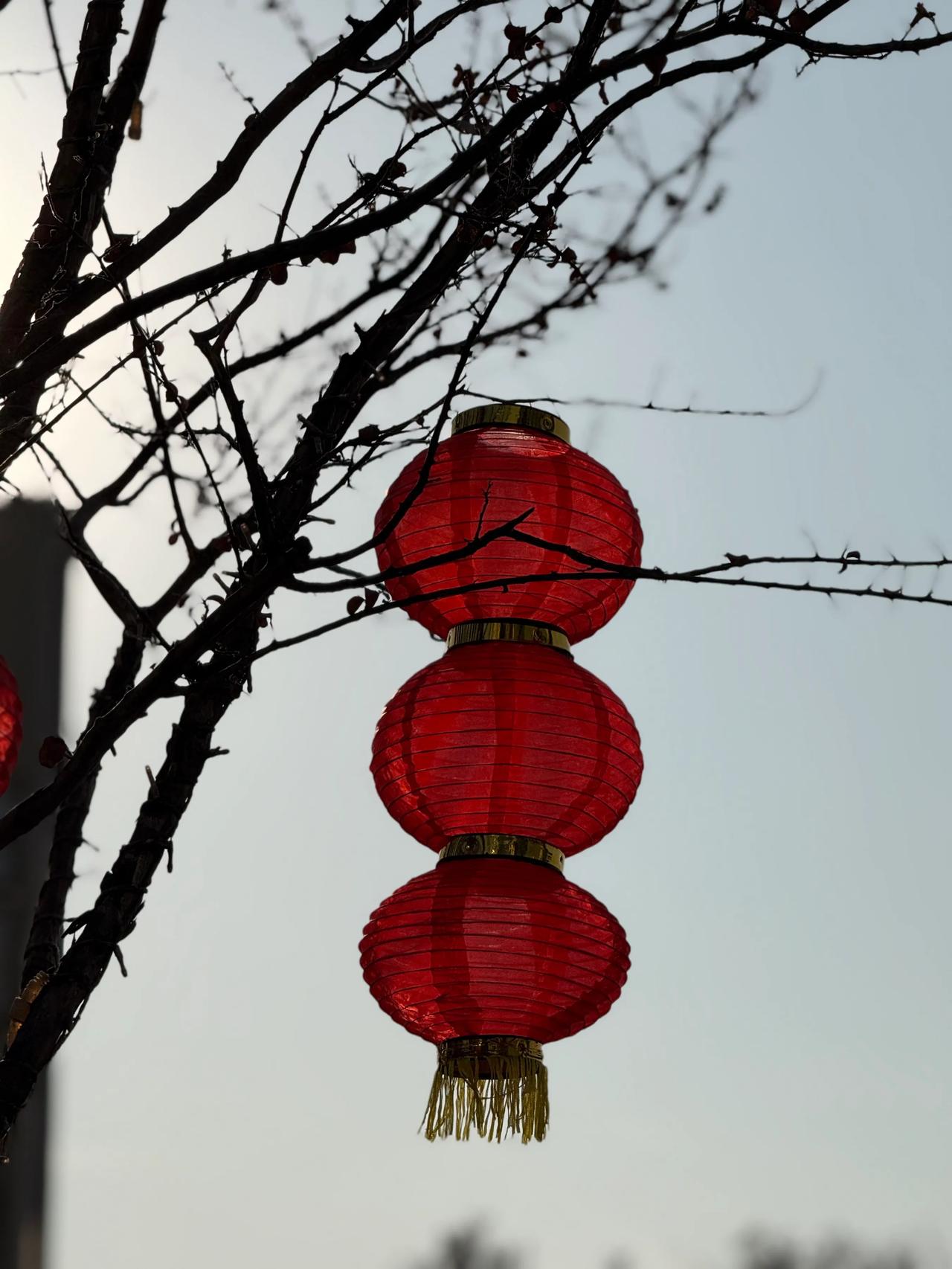 魔都难得发现开始有点年味了
不容易