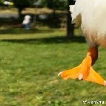 生活手记每一次心向阳光的选择，都是对生命最温柔的礼赞。 