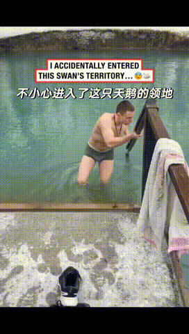 等我扑腾过来收拾你！