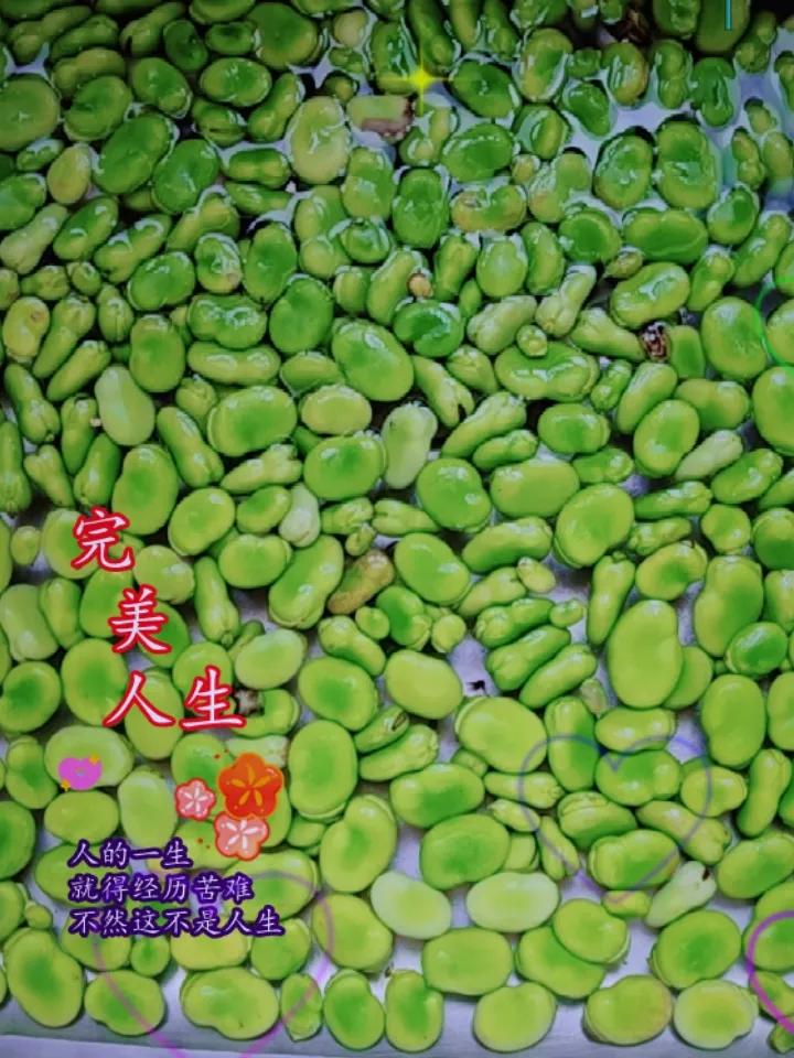 新鲜蚕豆保存，核心原则是隔绝空气和水分，推荐以下三种方法：

- 冷藏（短期）：
