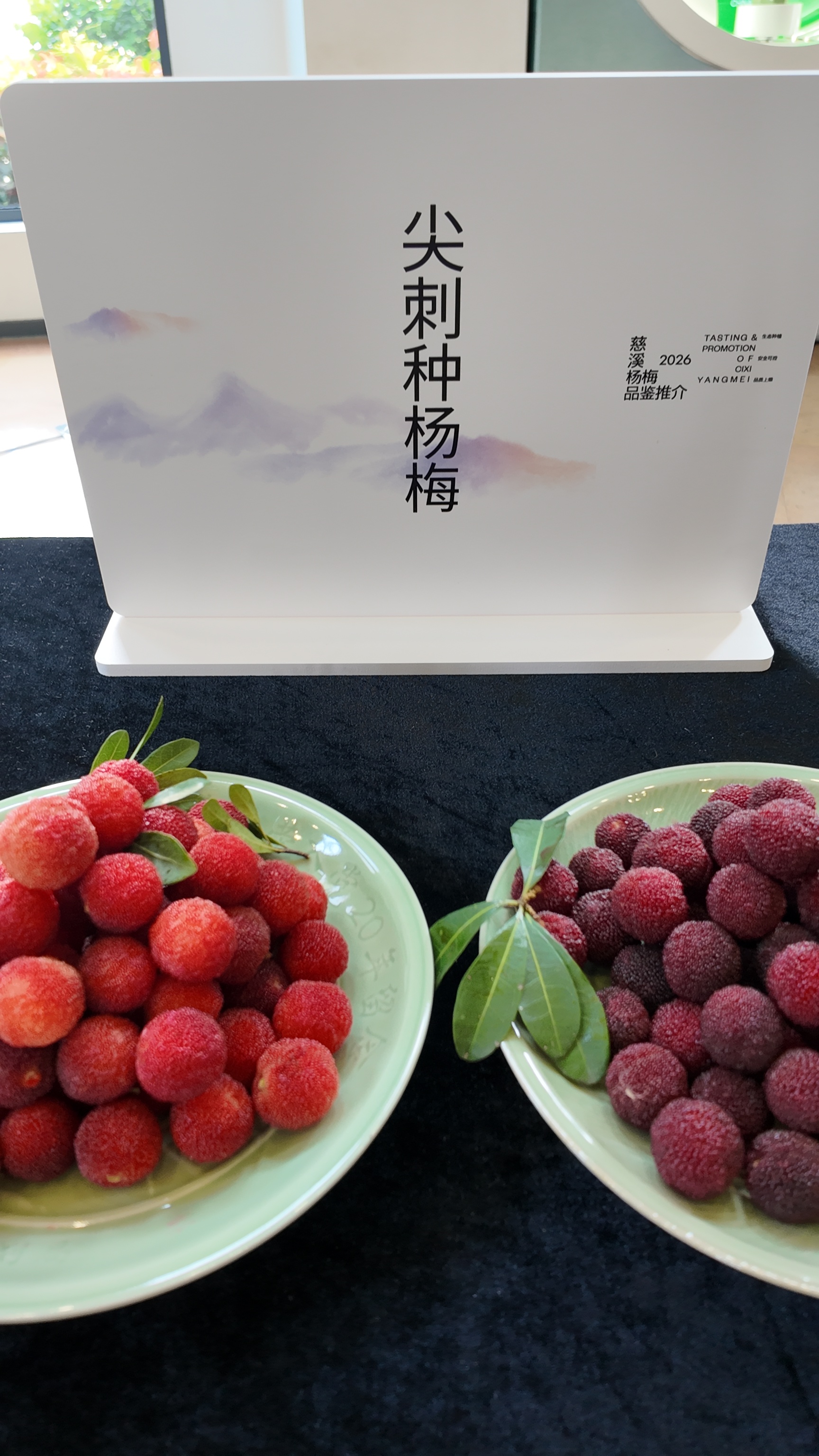 原来杨梅有这么多品种，你吃过哪种？ 