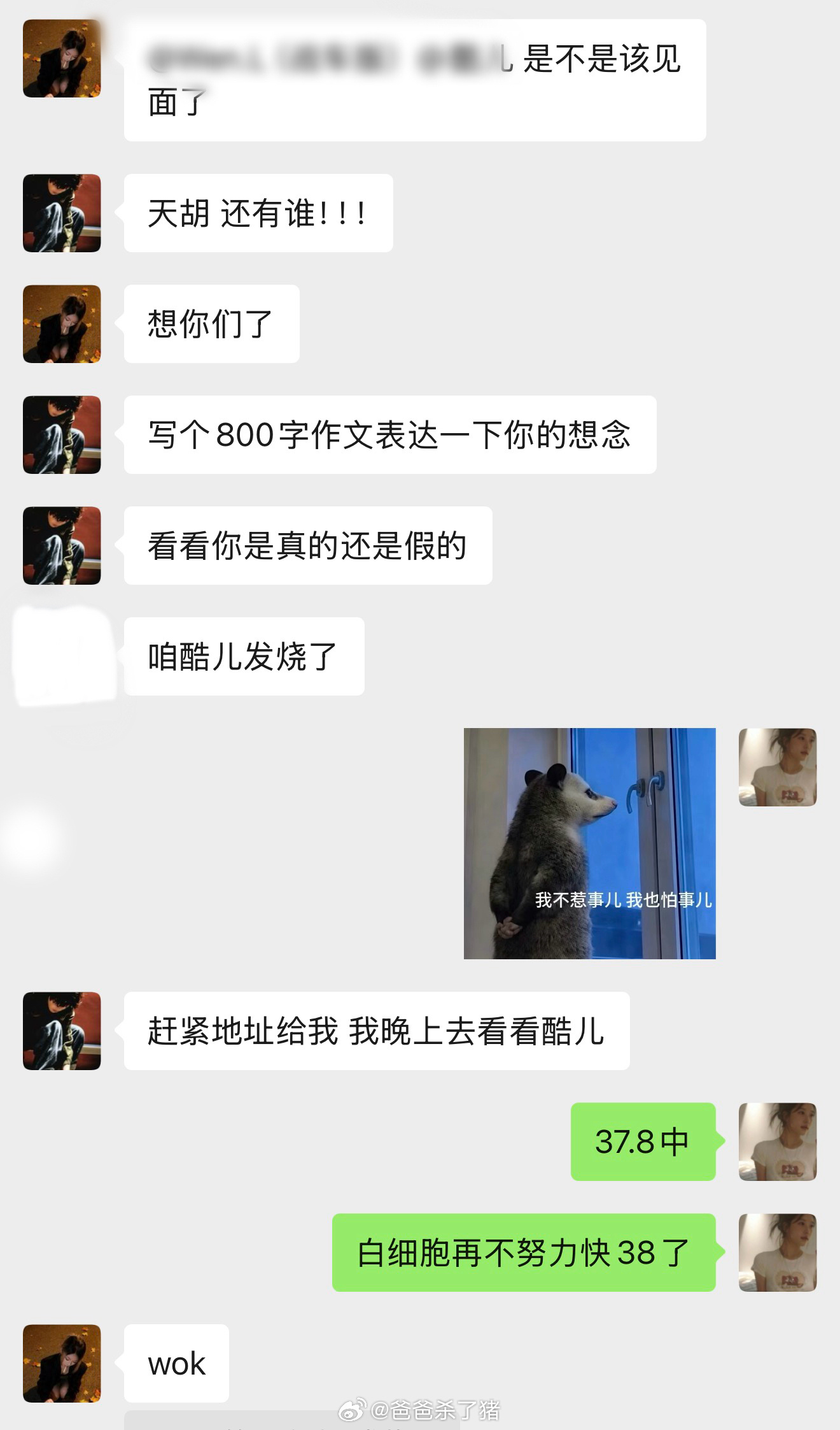白细胞去哪儿了 