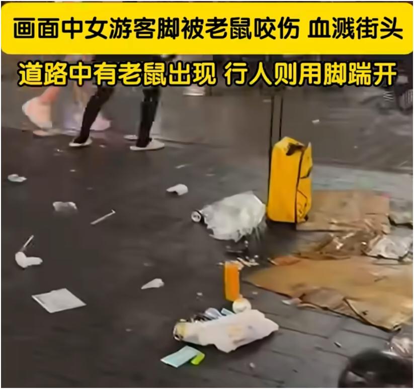 日本东京街头老鼠伤人事件真让人惊掉下巴！10月9日，一个迪拜女游客在东京新宿街头
