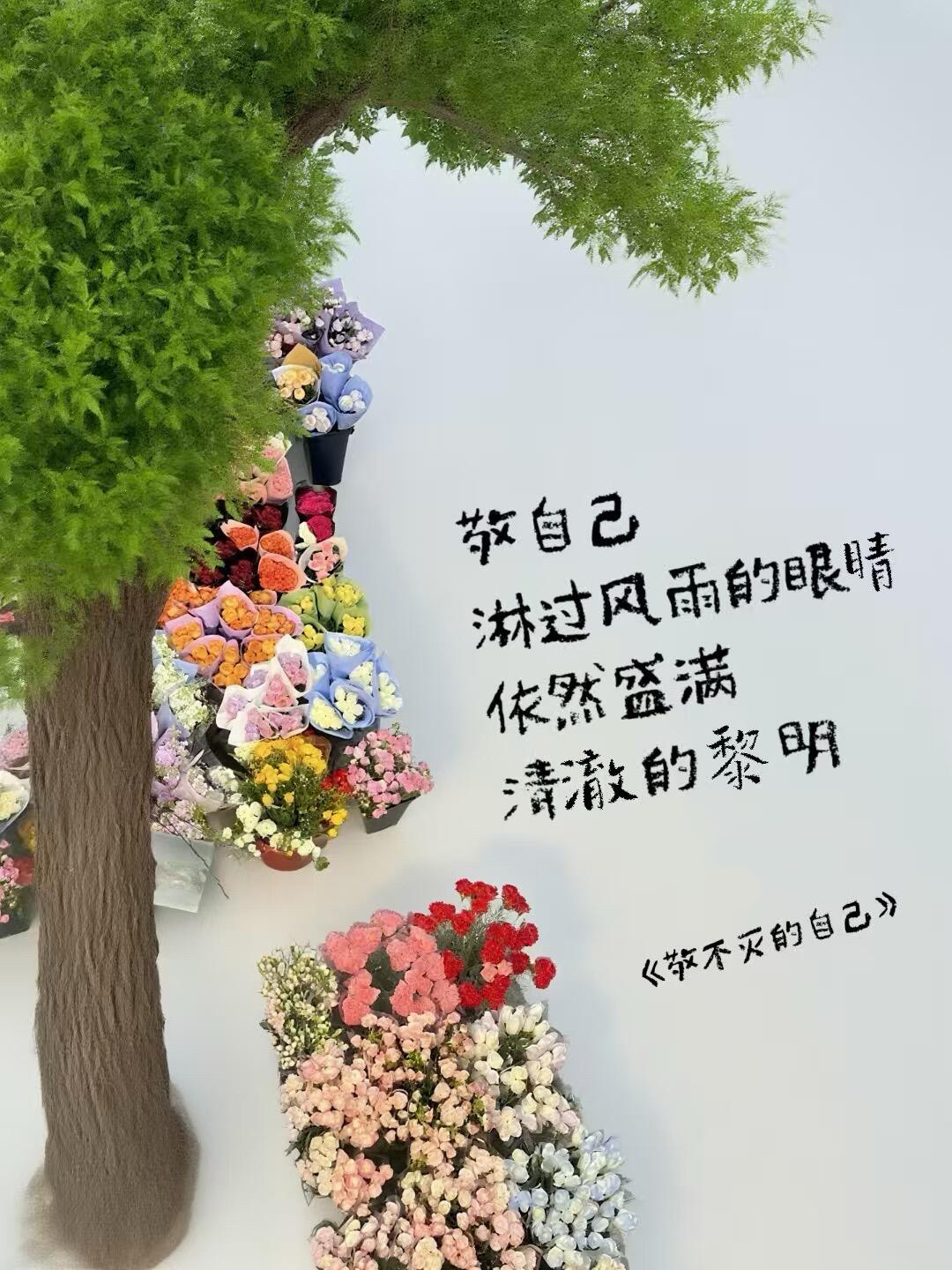 “敬自己|荒野中也能走出繁花” 