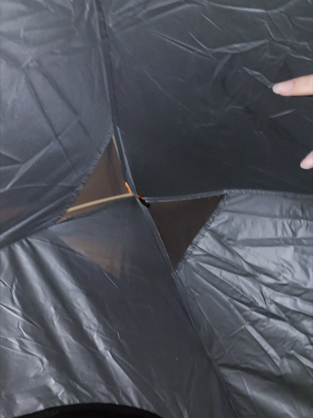 张子墨 张子墨我一点也不冷也不困.... 