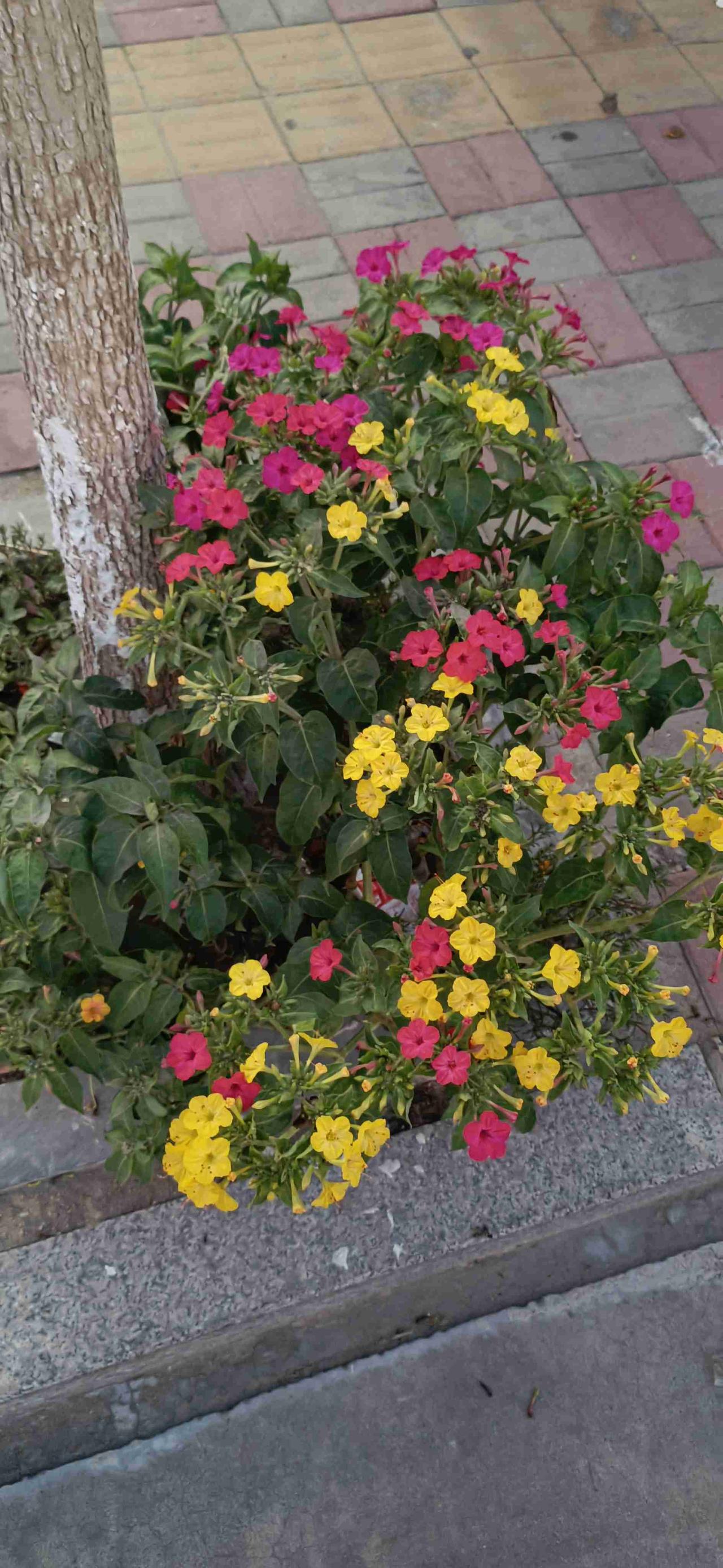 我的今日状态：😁轻松愉快
我这里的天气：☀️晴天