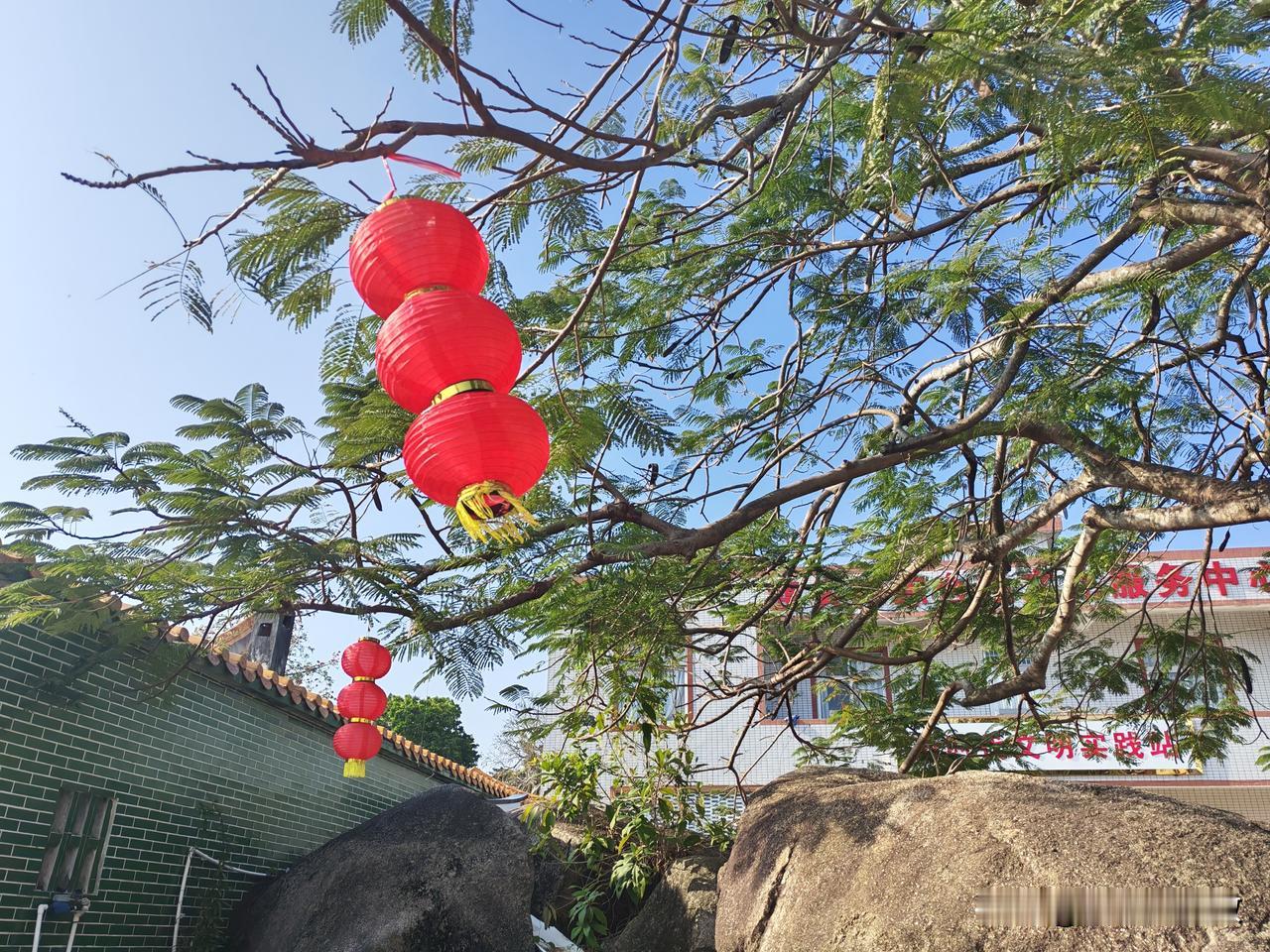 广东省阳西县沙扒镇月亮湾过冬记（四十一）在月亮湾过女神节

昨天是三八妇女节。上